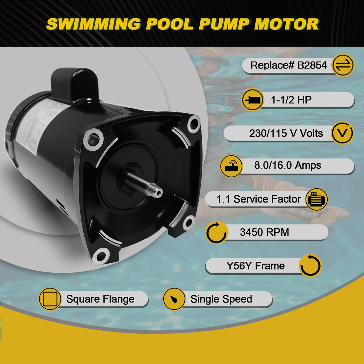 FOREBEN 1.5 HP motor rear view, rugged enclosure for outdoor pool use.