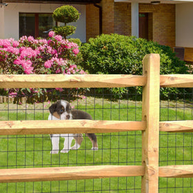 FOREHOGAR garden border fence protects plants from small animals