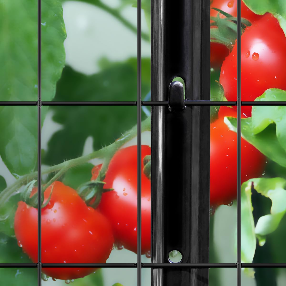 FOREHOGAR versatile uses include garden borders and small-animal barriers.