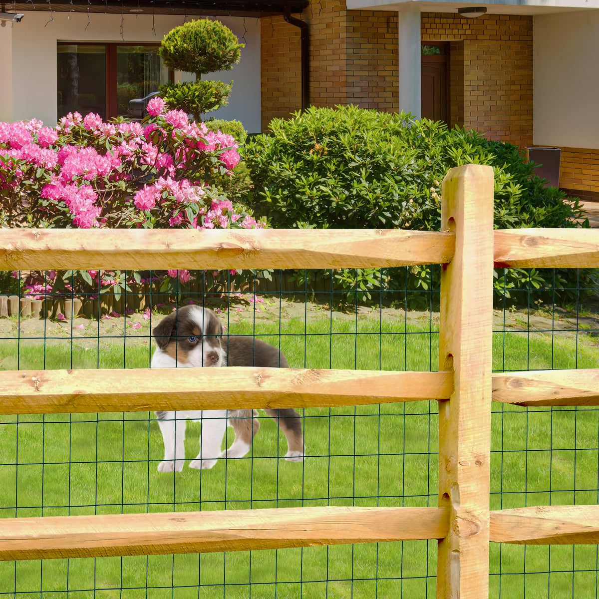 FOREHOGAR garden border protects vegetables and flowers from wildlife