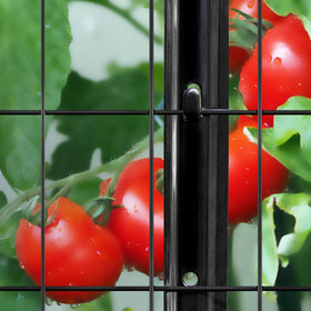 Versatile uses include garden borders, animal barriers, and sign posts.