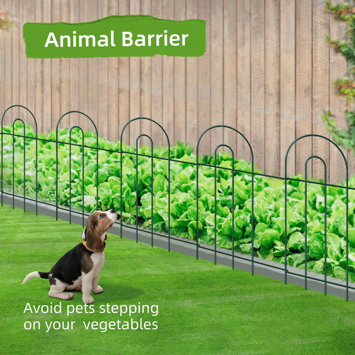 FOREHOGAR no dig border fence adds quick boundary around flower beds.