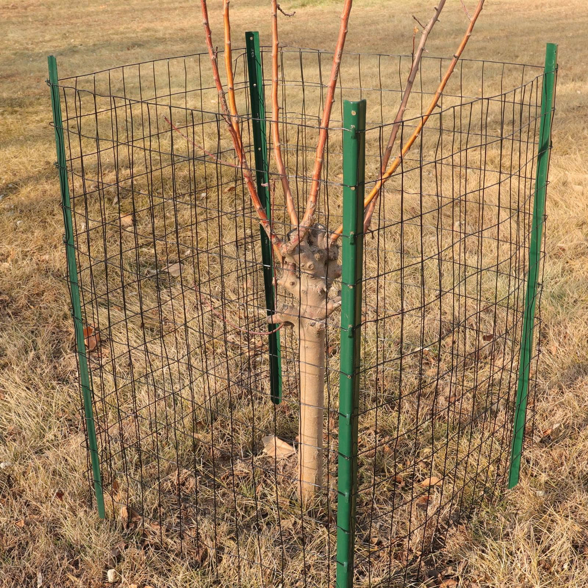 FOREHOGAR versatile enclosure use for pets or poultry