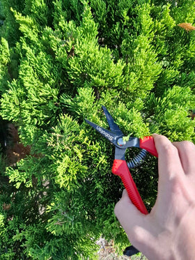 Forest Originals Saboten SD-8 comfort grip ensures steady handling.