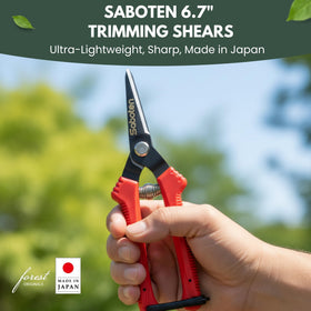Forest Originals Saboten SD-8 precision micro-tip blade enables delicate pruning.