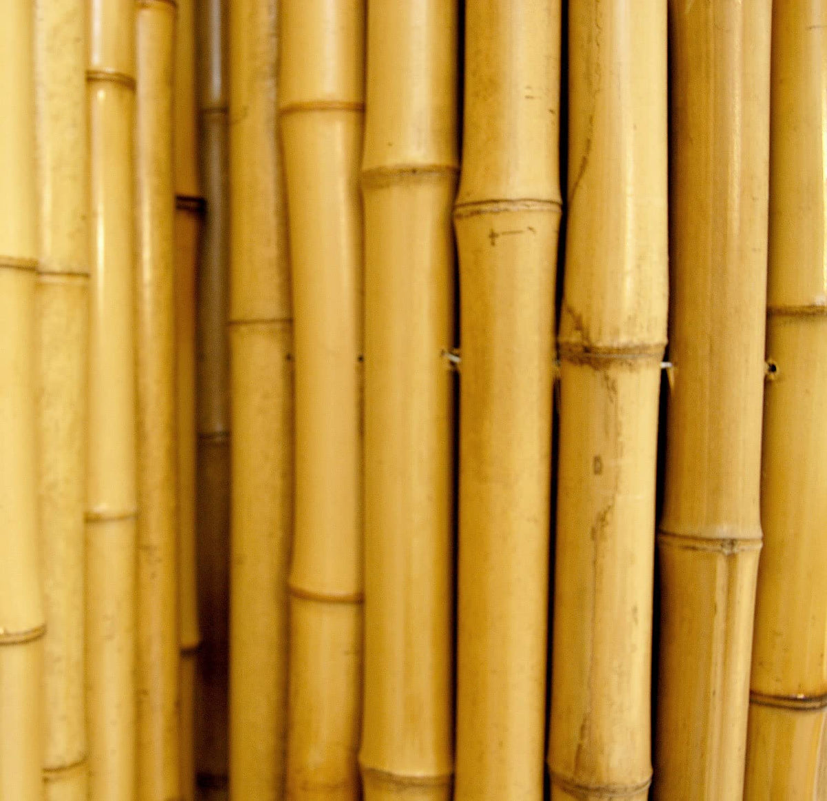 FOREVER BAMBOO Backyard X-Scapes panel installation, easy-to-attach privacy solution.