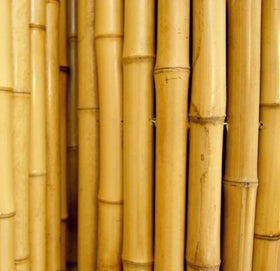 FOREVER BAMBOO Backyard X-Scapes panel installation, easy-to-attach privacy solution.