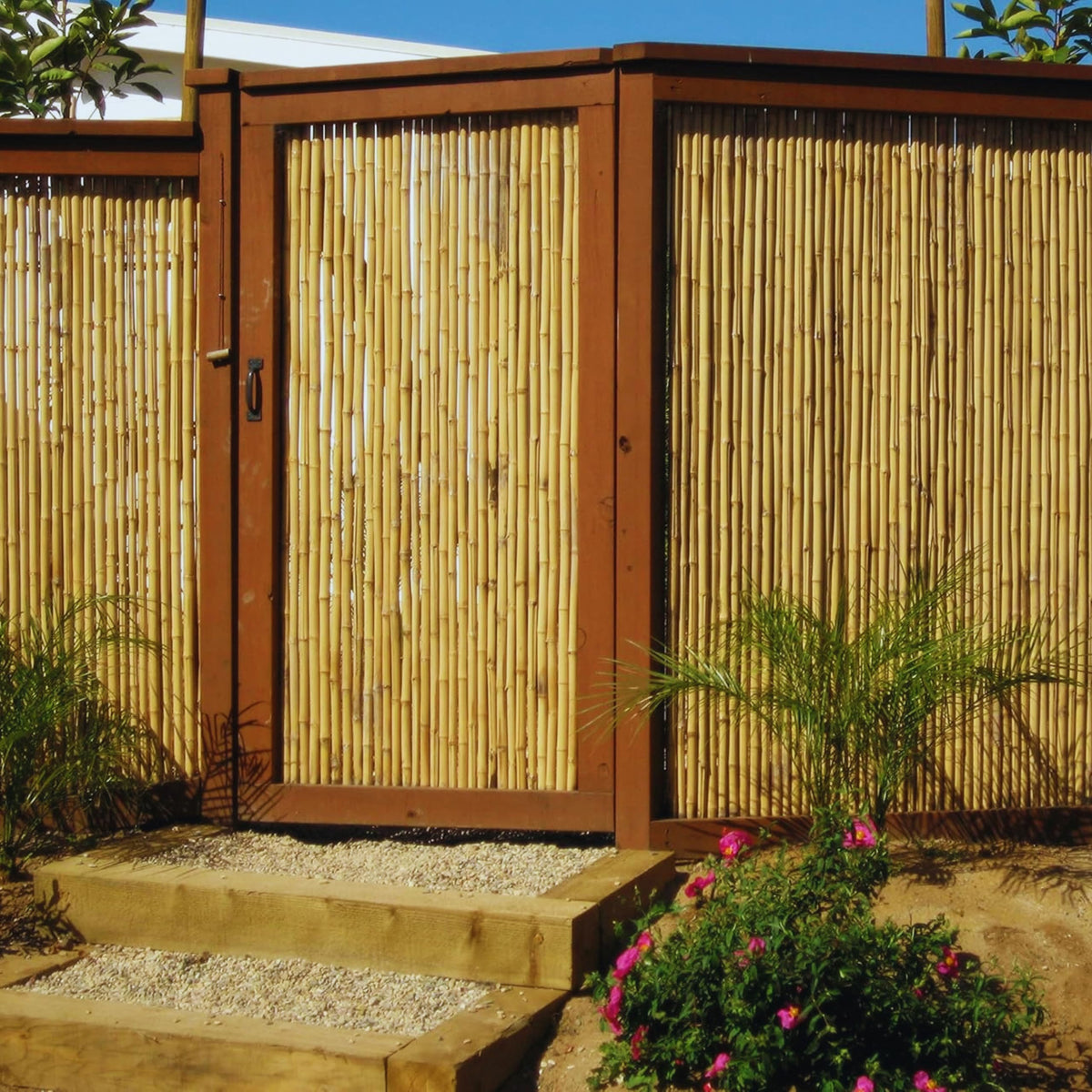 FOREVER BAMBOO Backyard X-Scapes panel natural finish close-up, warm tropical vibes.
