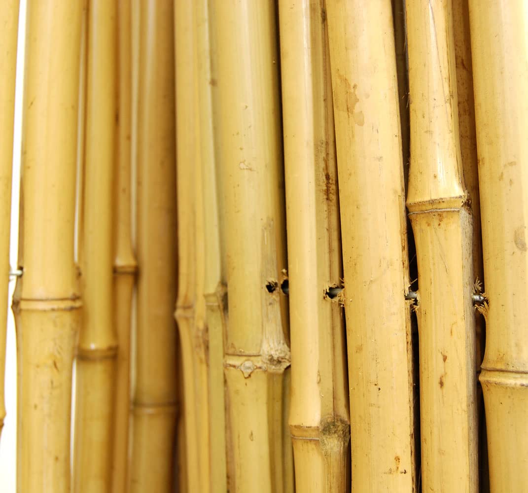 Forever Bamboo privacy screen installed on chain-link with zip-ties.