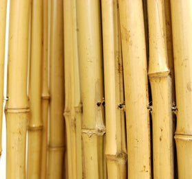 Forever Bamboo privacy screen installed on chain-link with zip-ties.