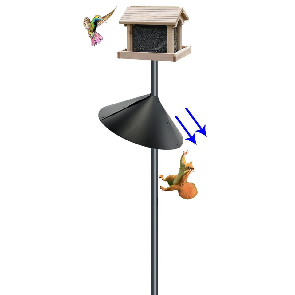 Forever Song Squirrel Baffle with 18-inch width blocks climbers and protects feeders.