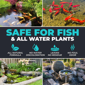 FORTIVO Water feature scene enhanced by drop-in pond care solution.