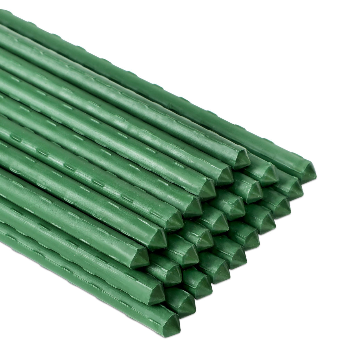 FORUP 48-inch tomato stake provides sturdy vine support for heavy fruiting plants.