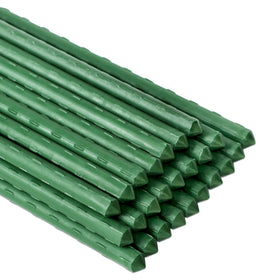 FORUP 48-inch tomato stake provides sturdy vine support for heavy fruiting plants.