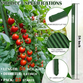 FORUP 58-inch plant stake offers tall, secure training for cucumbers, beans, and climbing vines.