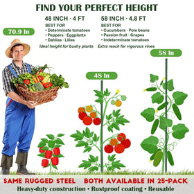 FORUP 60-degree tip stake enables easy insertion into loose soil by hand.
