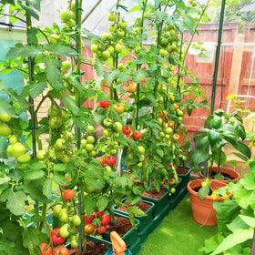 FORUP rustproof coating extends life of steel garden stakes
