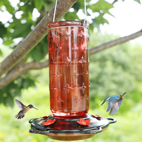 FORUP outdoor hanging feeder brightens gardens while supporting local birds.