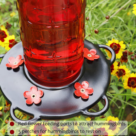 FORUP feeder with five perches offers resting spots for birds.