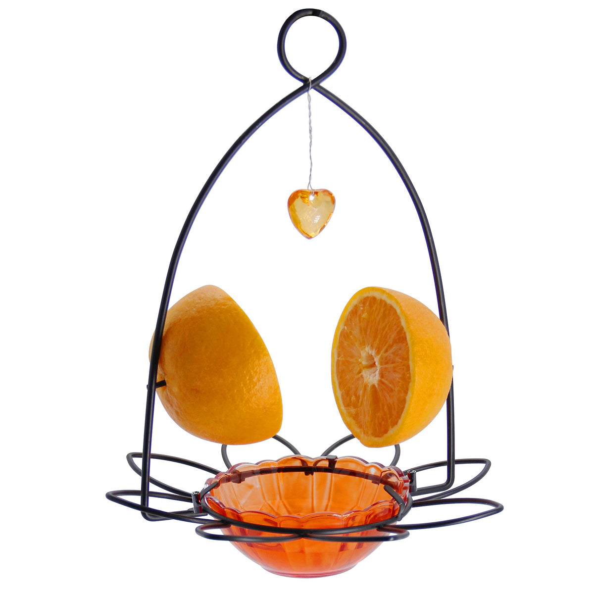 FORUP Oriole Bird Feeder front view with bright orange color attracting orioles