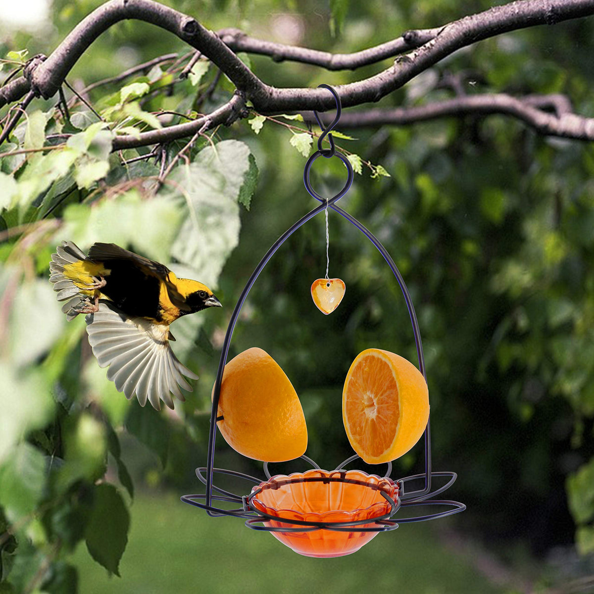 FORUP Oriole Bird Feeder makes a thoughtful gift for gardeners