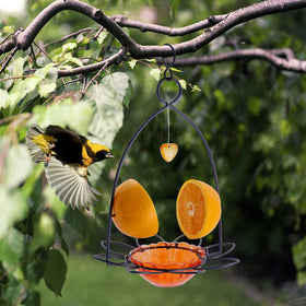 FORUP Oriole Bird Feeder makes a thoughtful gift for gardeners