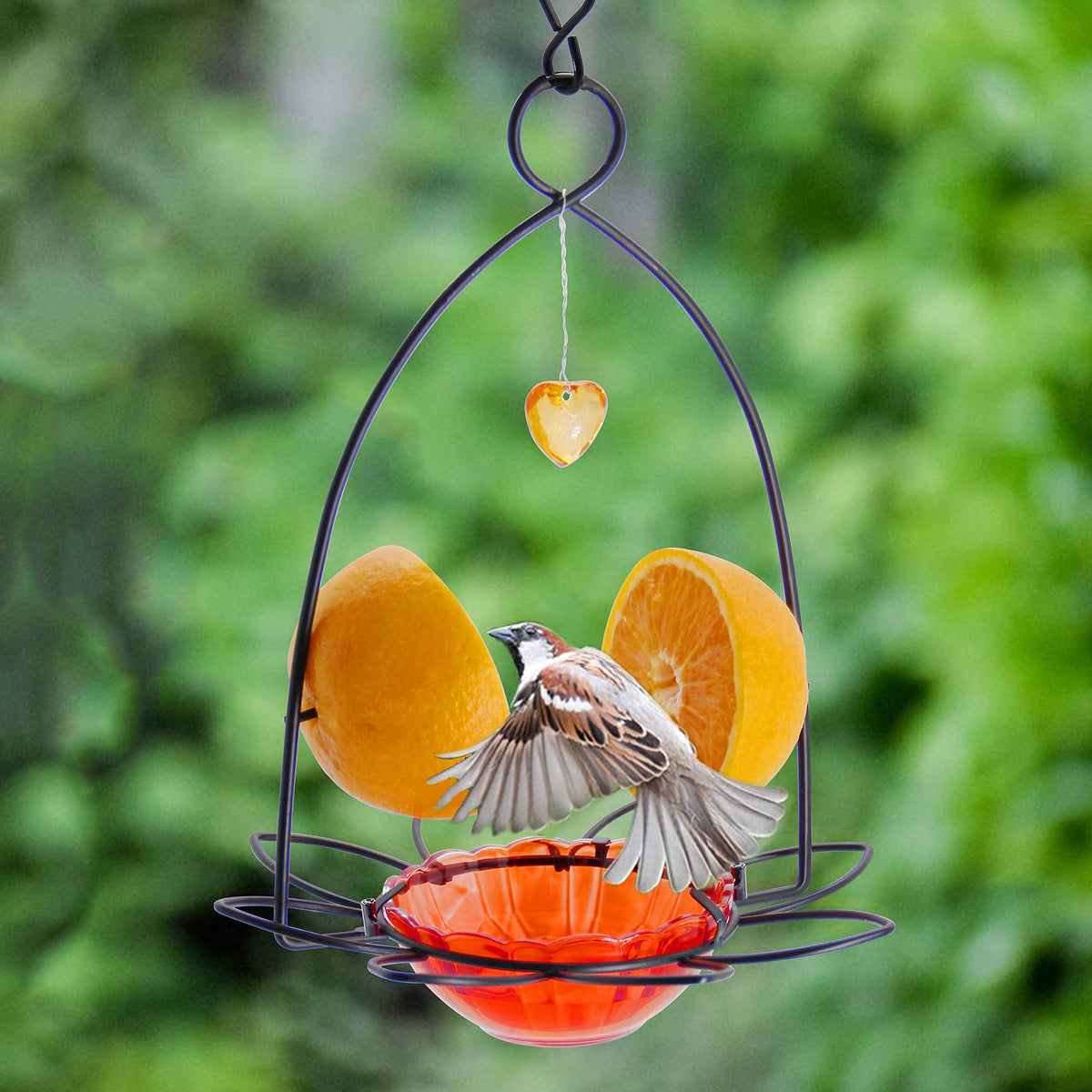 FORUP Oriole Bird Feeder durable materials resist weather