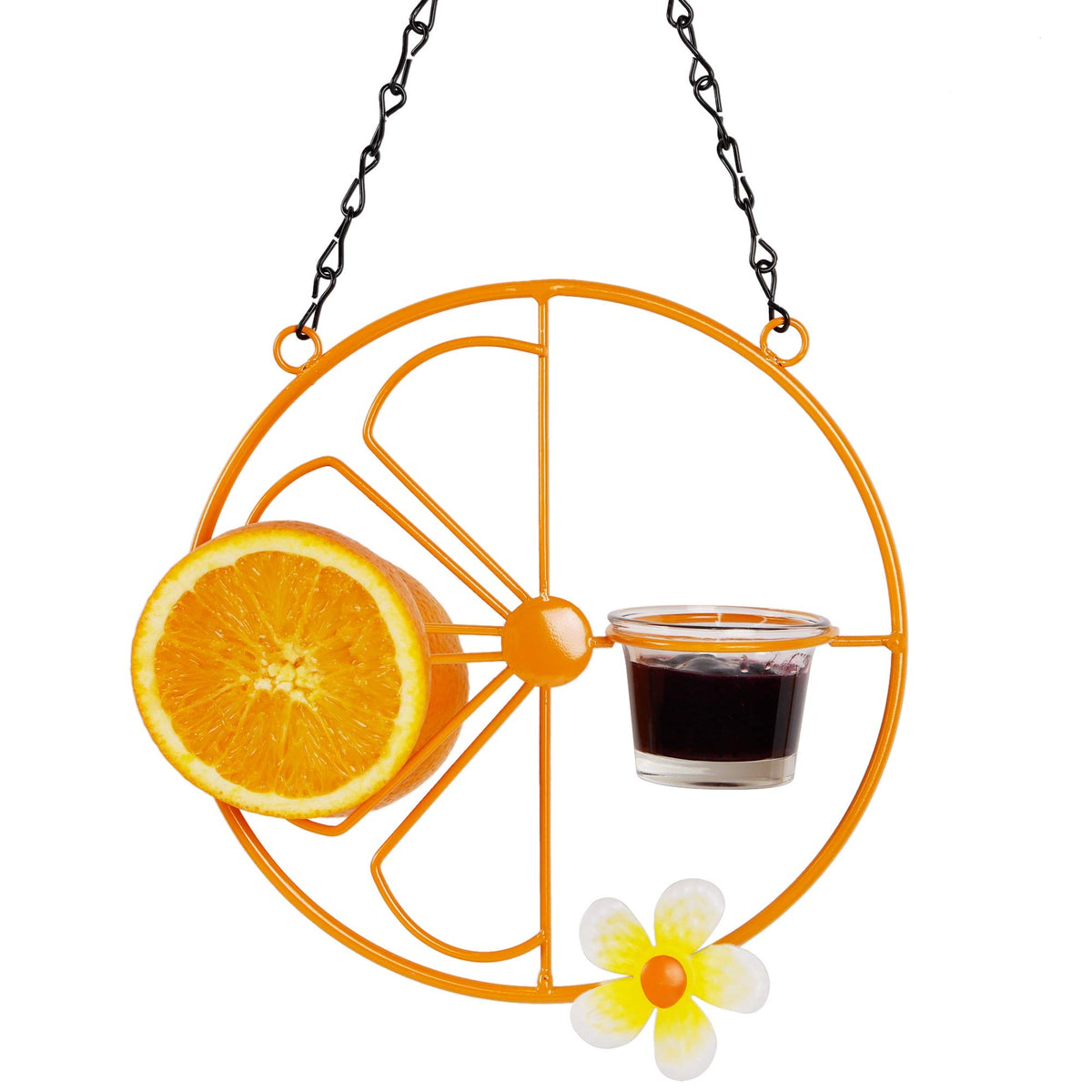 Forup Oriole feeder outdoors with orange jelly option attracts orioles