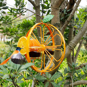 Yellow flower detail and orange body add garden charm.