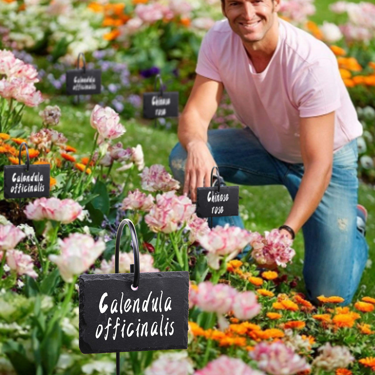 FORUP outdoor-friendly label display in pots and flower beds
