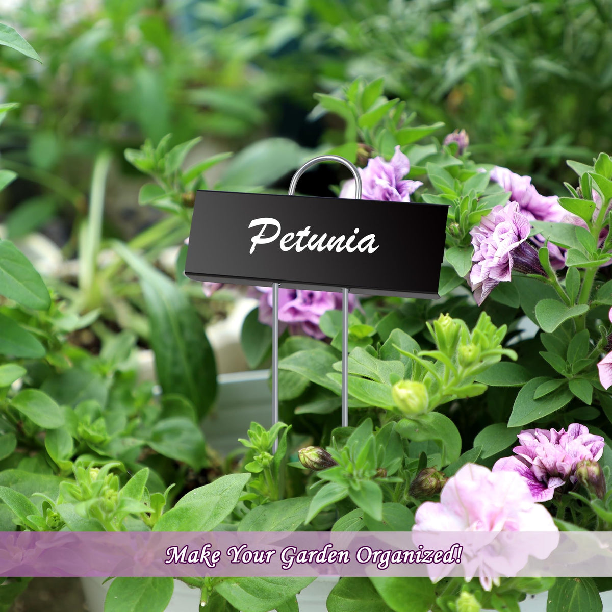 FORUP organized garden markers help identify seedlings and varieties