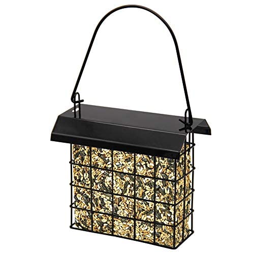 FORUP sleek design suet feeder, attracts multiple bird species.