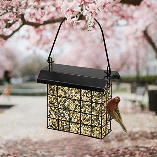 FORUP suet feeder with coated steel cable, easy hanging setup.