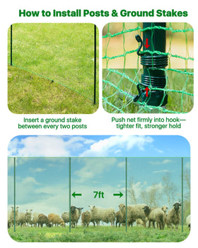 Forvenora ground stakes minimizing gaps to keep small animals out.