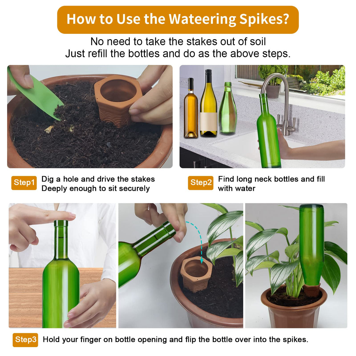 Plant thriving with Fosiweelo self-watering system.