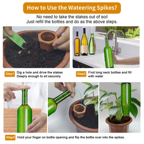 Plant thriving with Fosiweelo self-watering system.