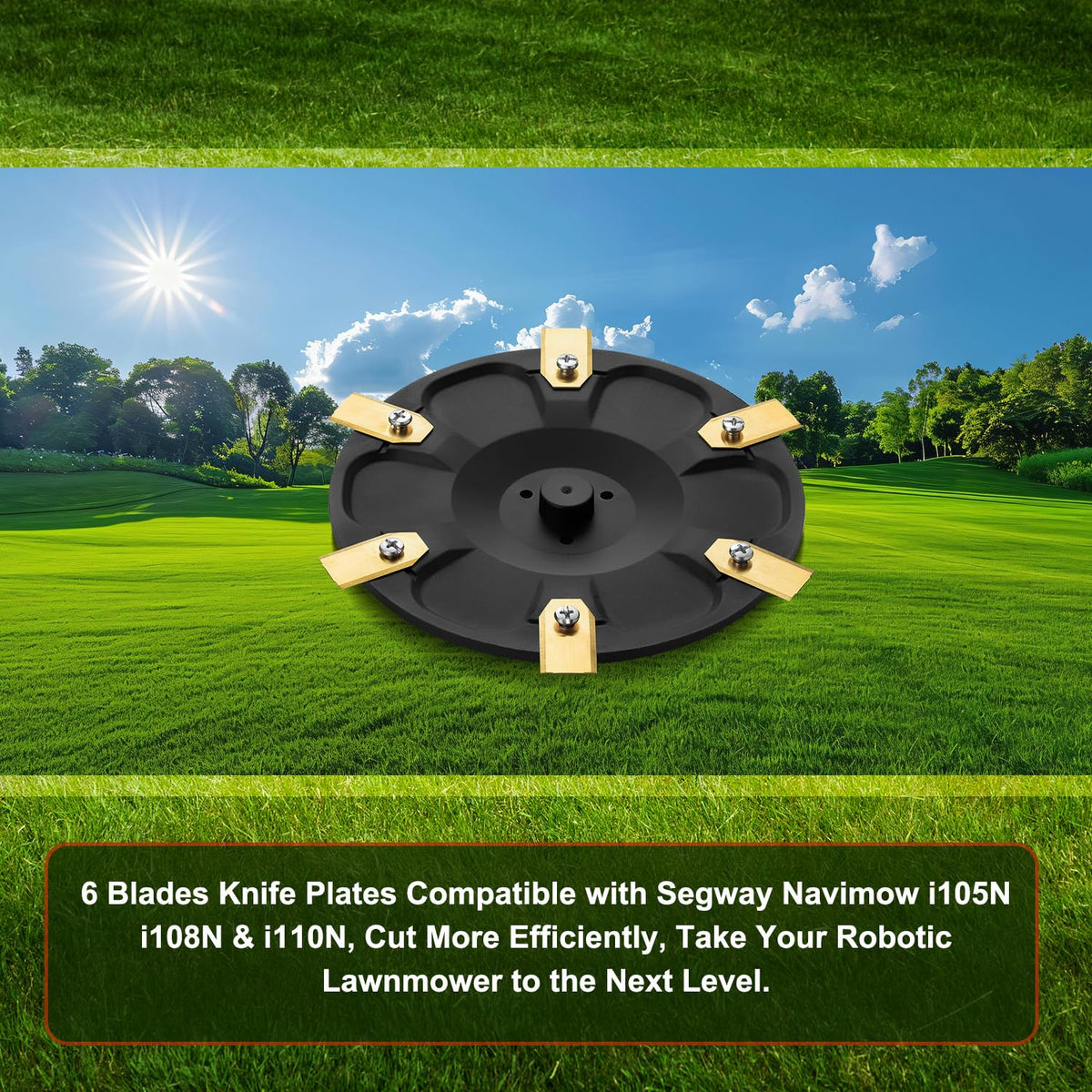 FourShow 6-blade disc packaging shows knife plate, blades, and screws for easy install.