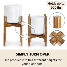 Fox & Fern bamboo pattern adds warm mid-century flair.