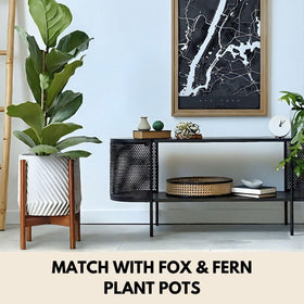 Fox & Fern two-height configuration enables varied plant displays.