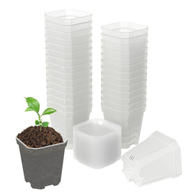 Foxany 3-inch clear nursery pot with root observation benefit for seed starters.