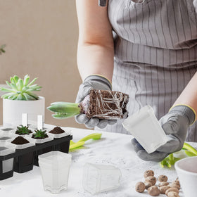 Foxany indoor-outdoor seedling pot suitable for windowsills and balconies.