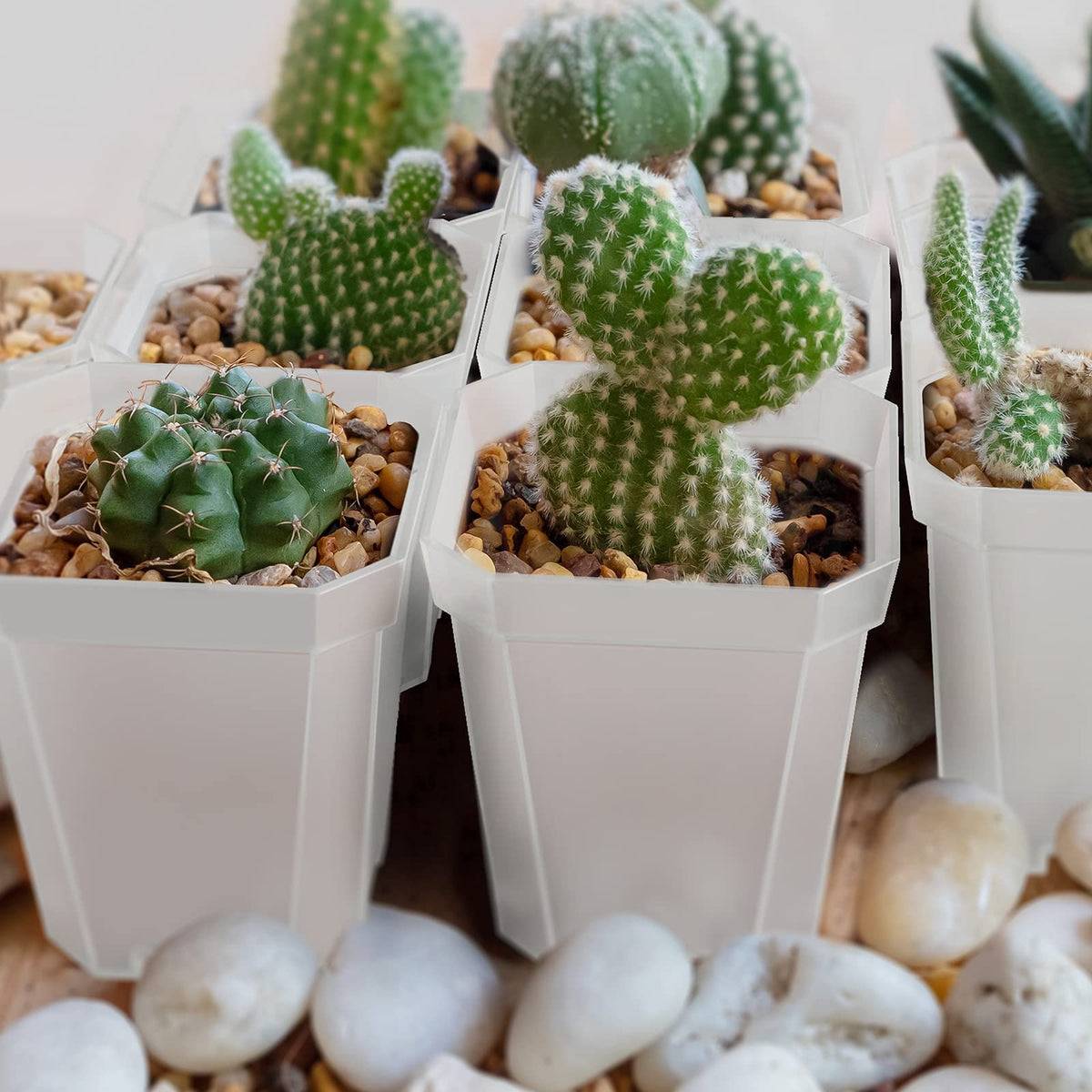 Foxany square 3-inch plant pot ideal for compact planter layouts.