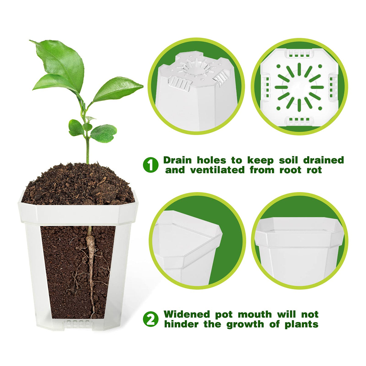 Foxany transparent root-view pot for monitoring plant health at a glance.