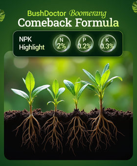 FoxFarm Boomerang root zone microbes image promotes stronger root growth.
