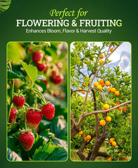 FoxFarm Bembé hydroponics feed image illustrating compatibility with hydroponic systems.
