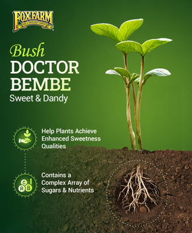 FoxFarm Bembé liquid nutrients close-up highlighting a fast-acting formula for vibrant growth.