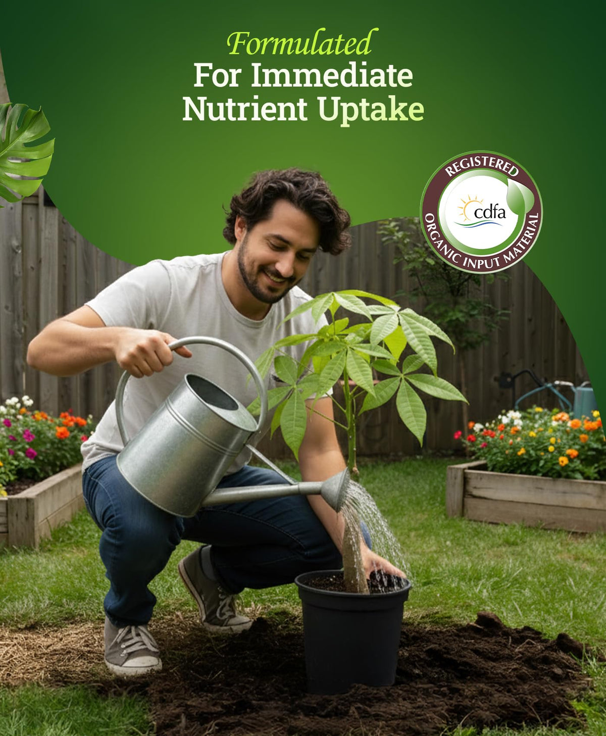 FoxFarm Bush Doctor Kelp Me Kelp You in hydroponics or drip irrigation setup.
