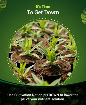 FoxFarm Cultivation Nation pH Down measuring cup for safe dosing.