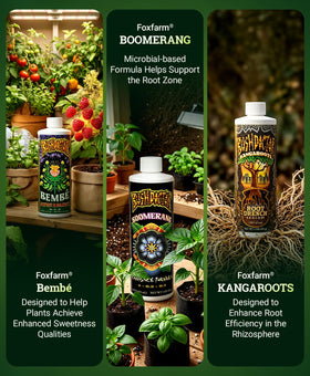 FoxFarm Big Bloom liquid bottle nourishes roots and lush growth