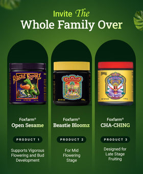 FoxFarm Cha Ching soluble bottle aids fruiting and vibrant yields